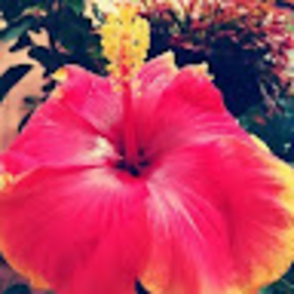 Meet your Posher, Autumn - Picture 1 of 1